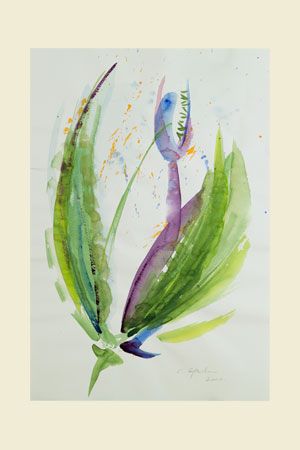 Aquarelpapier da capo - 50x65 cm - 165 g/m2  - pak à 25 vel